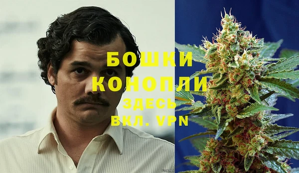 мдпв Снежногорск