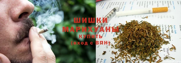 мдпв Снежногорск