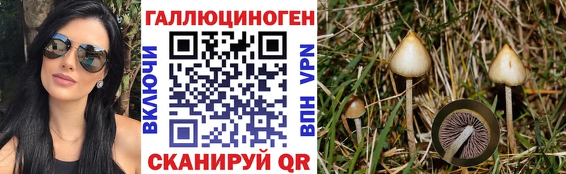 Галлюциногенные грибы ЛСД  Курчалой 