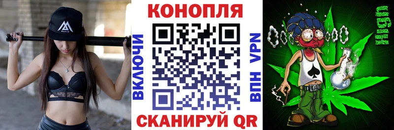 ОМГ ОМГ ССЫЛКА Курчалой Каннабис THC 21%